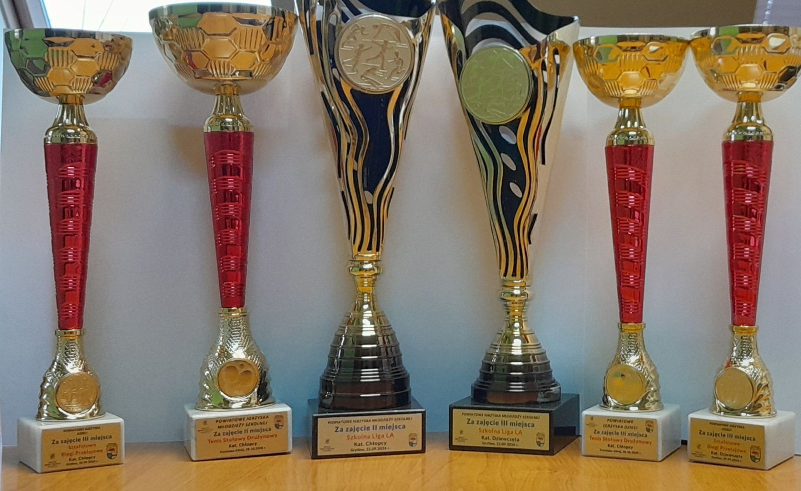 Zdjęcie: Nasi sportowcy na podium w powiecie