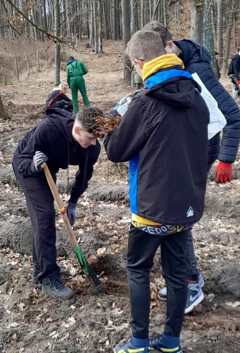 Zdjęcie: Uczestniczyliśmy w społecznej akcji sadzenia lasu